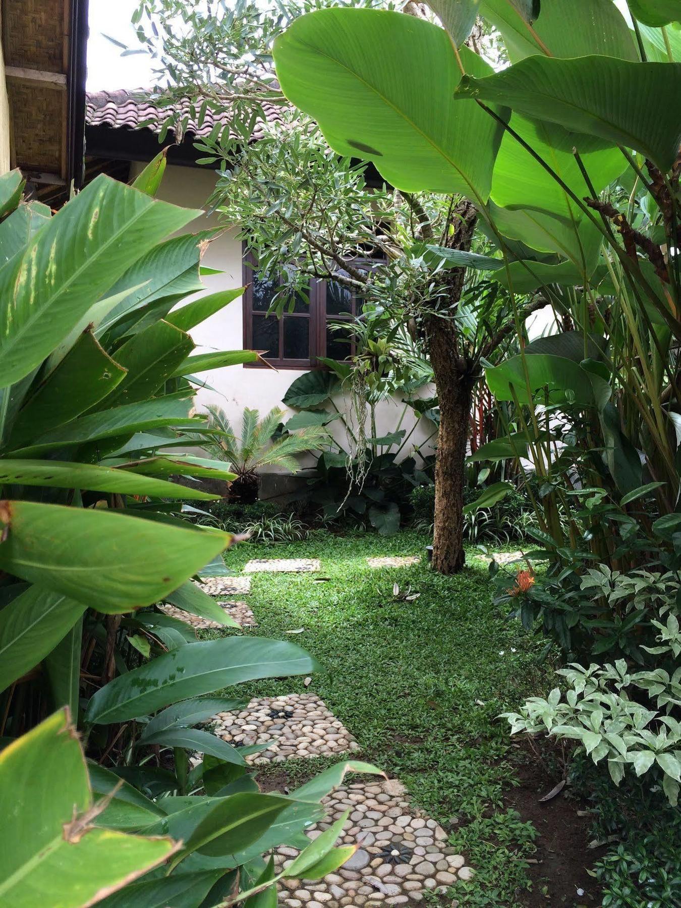 Uma Dewi Guest House Убуд Экстерьер фото